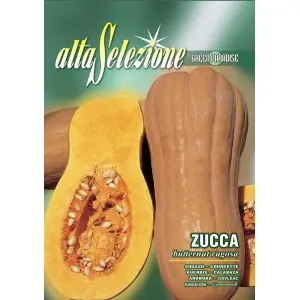 Seminte dovleac Butternut Rugosa Alta Selezione