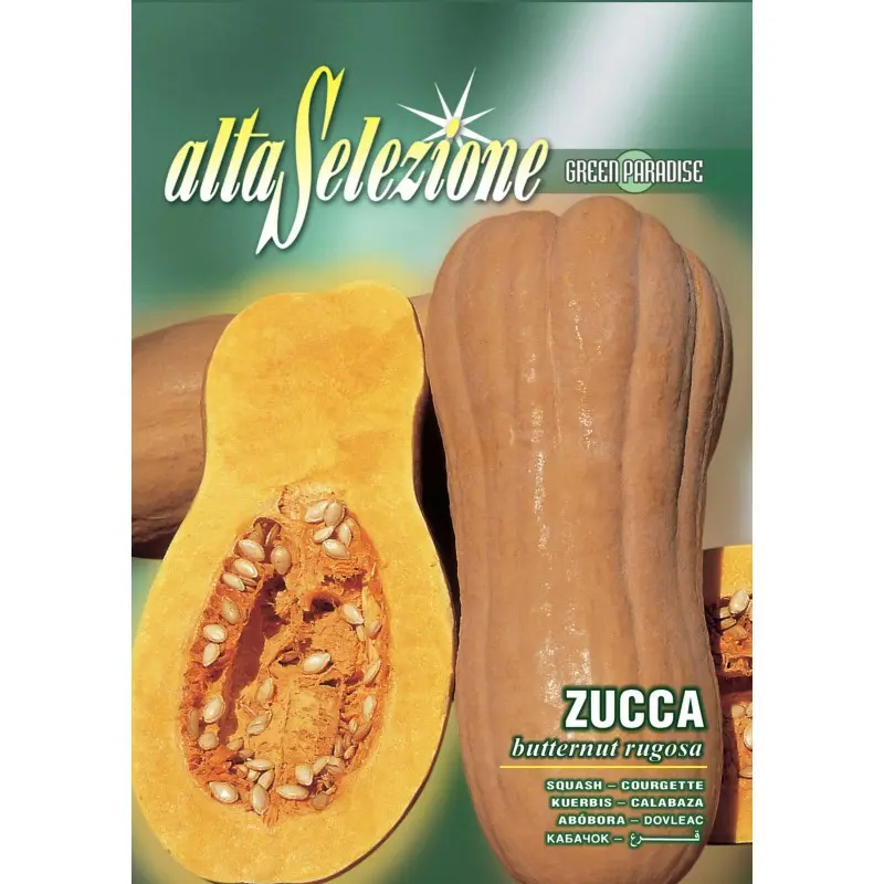 Seminte dovleac Butternut Rugosa Alta Selezione