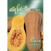 Seminte dovleac Butternut Rugosa Alta Selezione