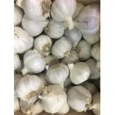 Usturoi spaniol rosu Gardos, calibru 50+, sac 0,5 kg