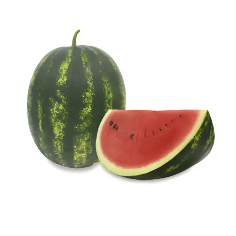 Seminte pepene verde Zora F1
