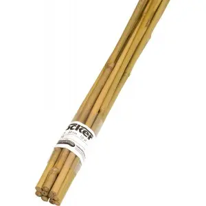 Tutore din bambus, Ø6-8 mm, 60 cm, set 10 buc