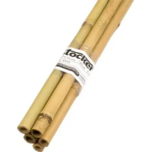 Tutore din bambus, Ø14-16 mm, 150 cm, set 5 buc