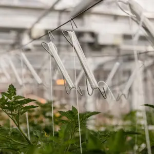 Carlig HD palisare si sustinere tomate, cu sfoara