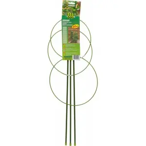 Spalier pentru plante la ghiveci