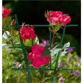 Spalier din plastic pentru plante la ghiveci, set 3 buc