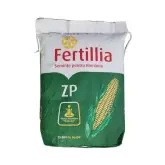 Samanta porumb ZP 4007