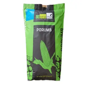 Samanta porumb ZP Felix