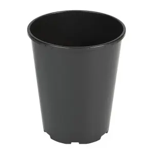 Ghiveci de productie pentru trandafiri, Desch