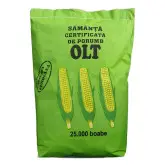 Samanta porumb Olt