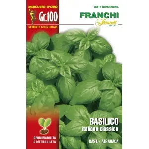 Seminte busuioc Italiano Classico Mercurio D’oro