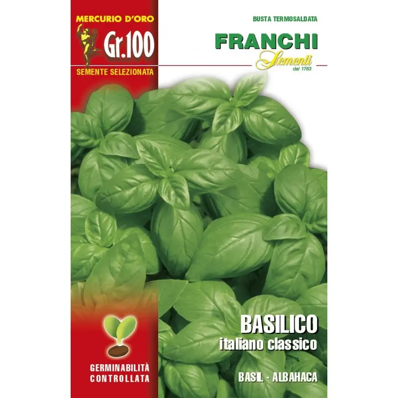 Seminte busuioc Italiano Classico Mercurio D’oro