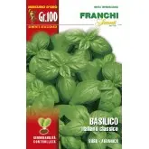 Seminte busuioc Italiano Classico Mercurio D’oro