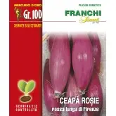 Seminte ceapa alungita Rossa Lunga di Firenze Mercurio D’oro