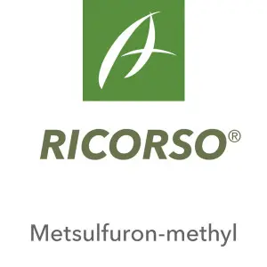 Erbicid Ricorso
