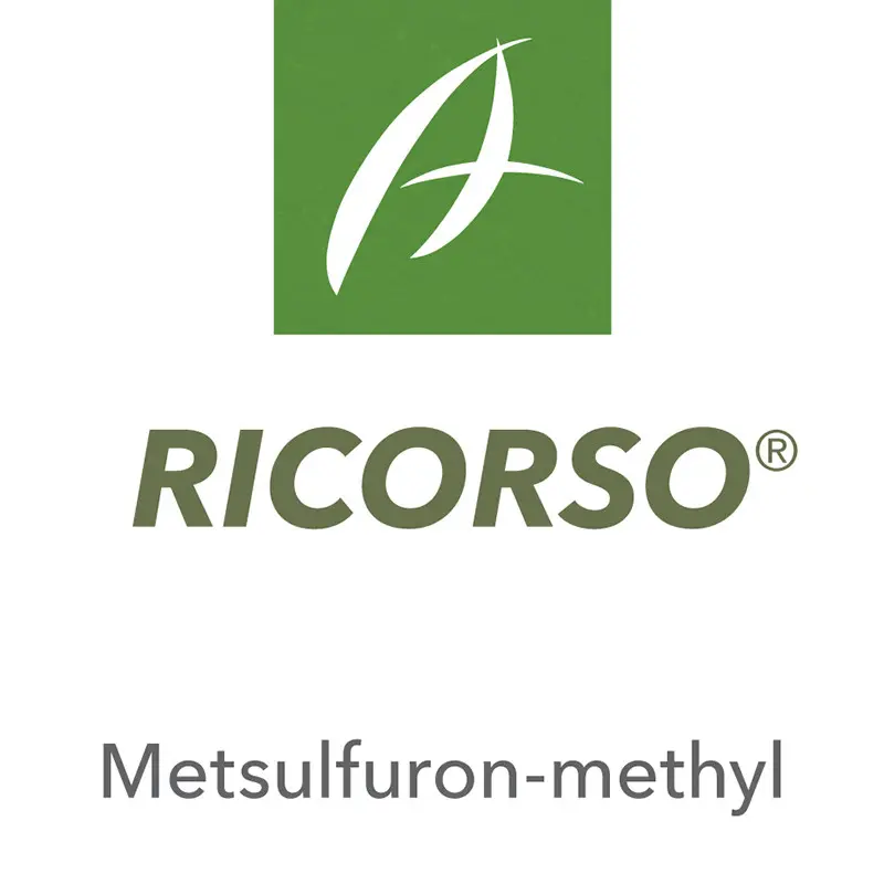 Erbicid Ricorso