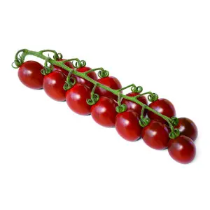 Seminte tomate cherry Sambalino (172 - 857) F1