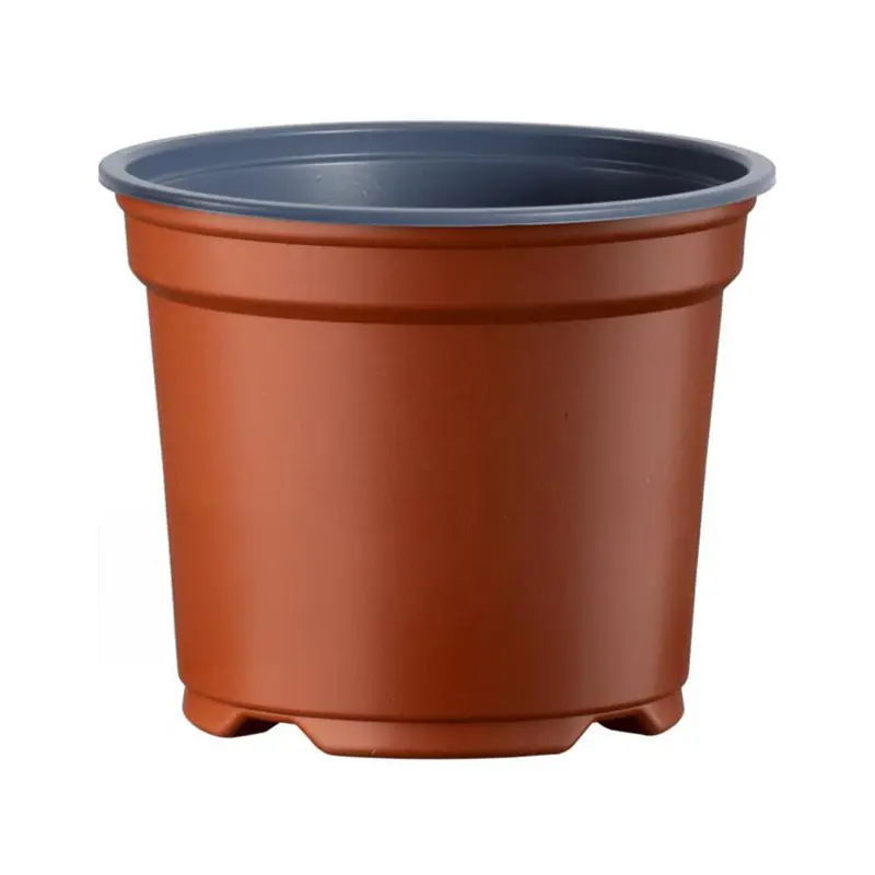 Ghiveci de productie Desch