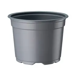 Ghiveci de productie Desch