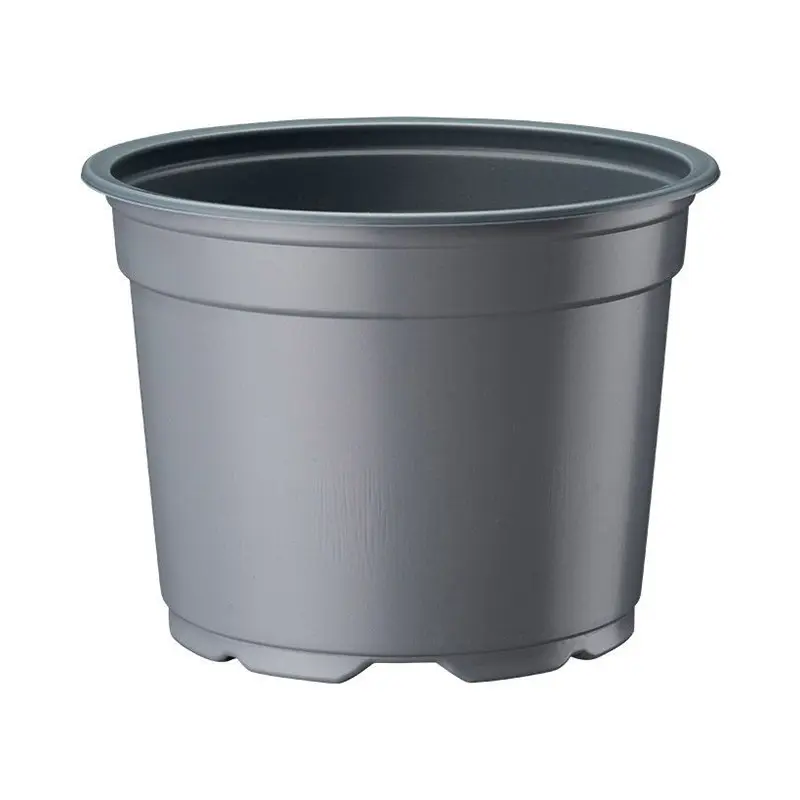 Ghiveci de productie Desch