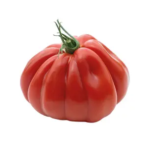Seminte tomate Grifone F1