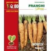 Seminte morcovi Flakkee Mercurio D’oro