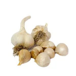 Usturoi alb elefant, calibru 60+, 1 kg