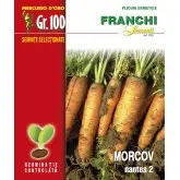 Seminte morcovi Nantes Mercurio D’oro