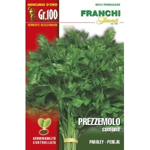 Seminte patrunjel de frunze Comune Mercurio D’oro