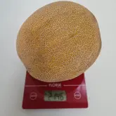 Seminte pepene galben Big Galia F1 (238MK2526 F1)