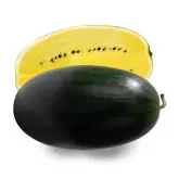 Seminte pepene verde Sugar Yellow F1