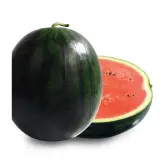 Seminte pepene verde Black Plus F1
