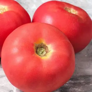 Seminte tomate Good pink F1