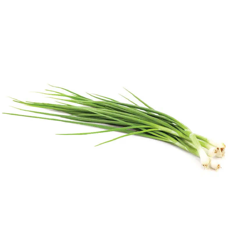 Seminte ceapa verde Token F1