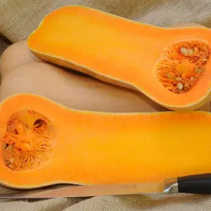 Seminte dovleac Titan F1