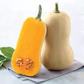 Seminte dovleac Tivano F1