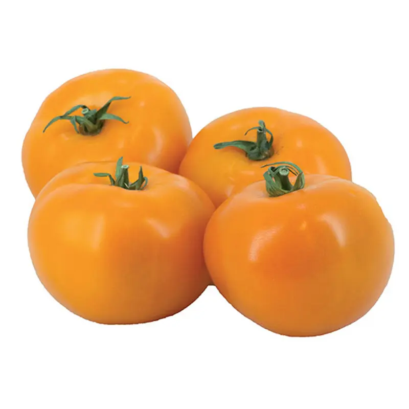 Seminte tomate Leeloo F1