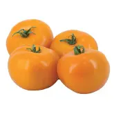 Seminte tomate Leeloo F1