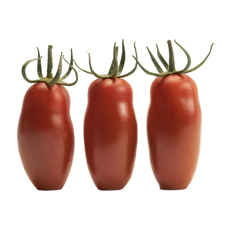 Seminte tomate cherry Caprese F1