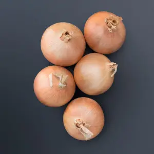 Seminte ceapa Oneida F1