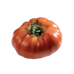 Seminte tomate Russe