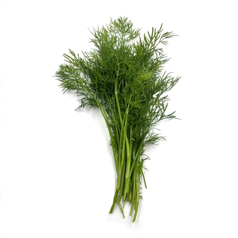 Seminte marar AGX 678