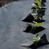 Folie microporoasa neagra perforata pentru mulcire Agro-Marina, 50 g/mp