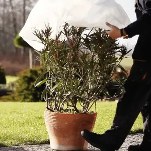 Husa de protectie plante pentru iarna in doua straturi