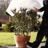 Husa de protectie plante pentru iarna in doua straturi