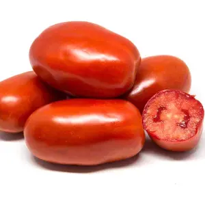 Seminte tomate Barnum F1
