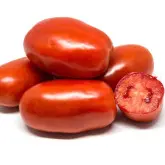 Seminte tomate Barnum F1