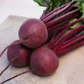 Seminte sfecla rosie Privilege F1