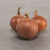 Seminte ceapa Valeta F1