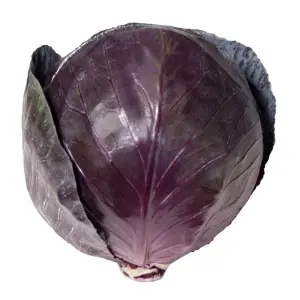 Seminte varza Ruby Charm F1